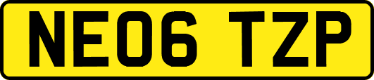 NE06TZP