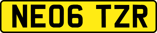 NE06TZR