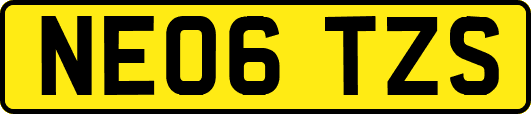NE06TZS
