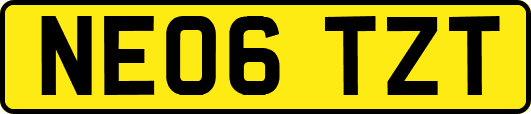 NE06TZT