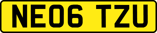NE06TZU