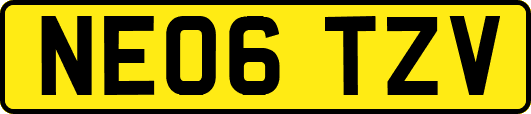 NE06TZV