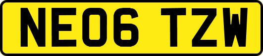 NE06TZW