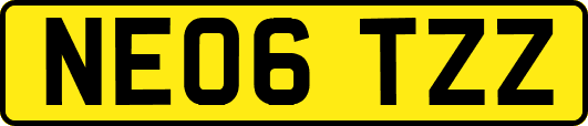 NE06TZZ
