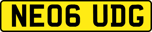 NE06UDG