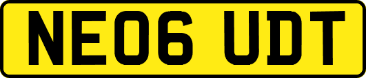 NE06UDT
