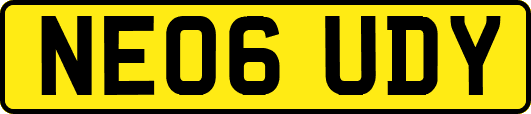 NE06UDY