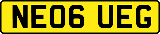 NE06UEG