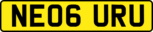 NE06URU