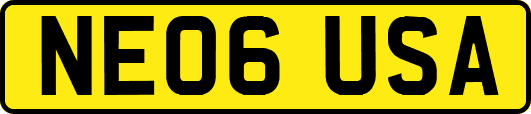 NE06USA