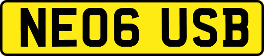 NE06USB
