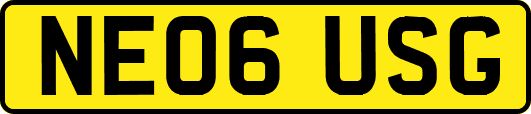 NE06USG