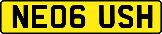 NE06USH
