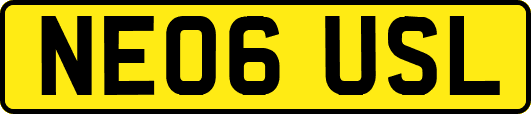 NE06USL
