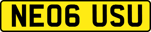 NE06USU