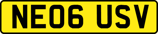 NE06USV