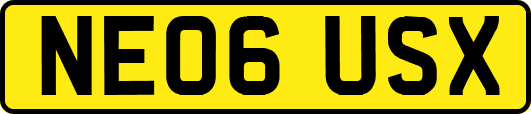 NE06USX