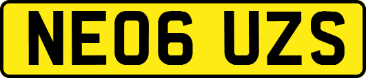 NE06UZS