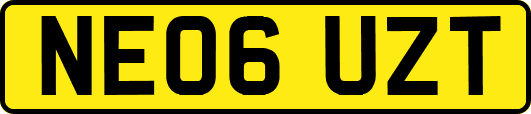 NE06UZT