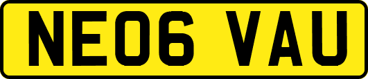 NE06VAU