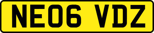 NE06VDZ