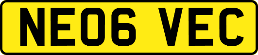NE06VEC