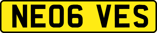 NE06VES