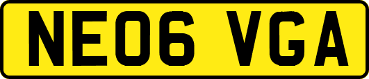 NE06VGA