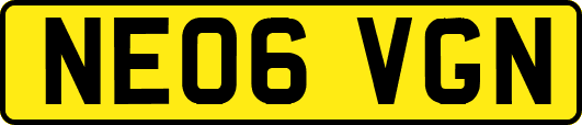 NE06VGN