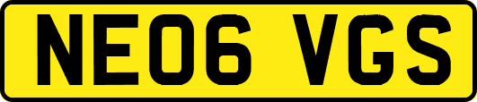 NE06VGS