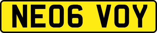 NE06VOY