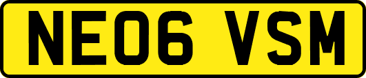 NE06VSM