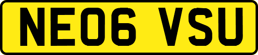 NE06VSU