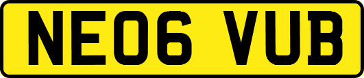 NE06VUB