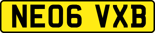 NE06VXB