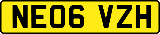 NE06VZH