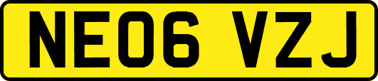 NE06VZJ