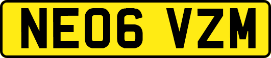 NE06VZM