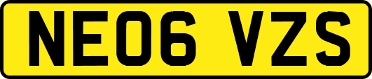 NE06VZS