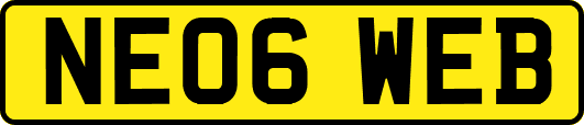 NE06WEB