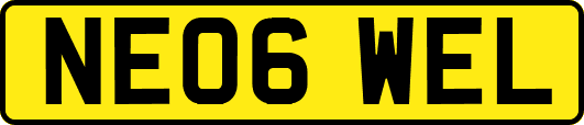 NE06WEL
