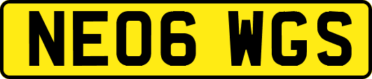 NE06WGS