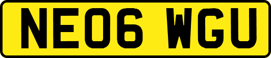 NE06WGU