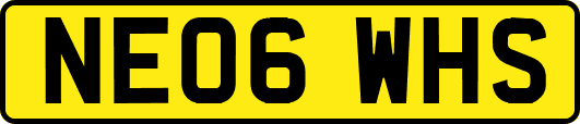 NE06WHS