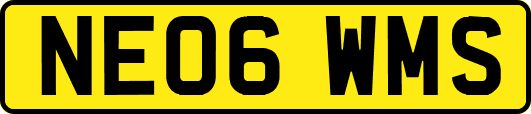 NE06WMS