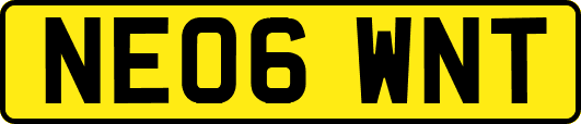 NE06WNT