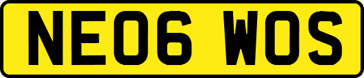 NE06WOS