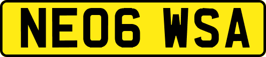 NE06WSA