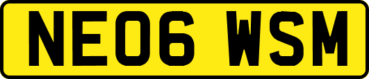 NE06WSM