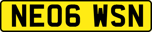 NE06WSN